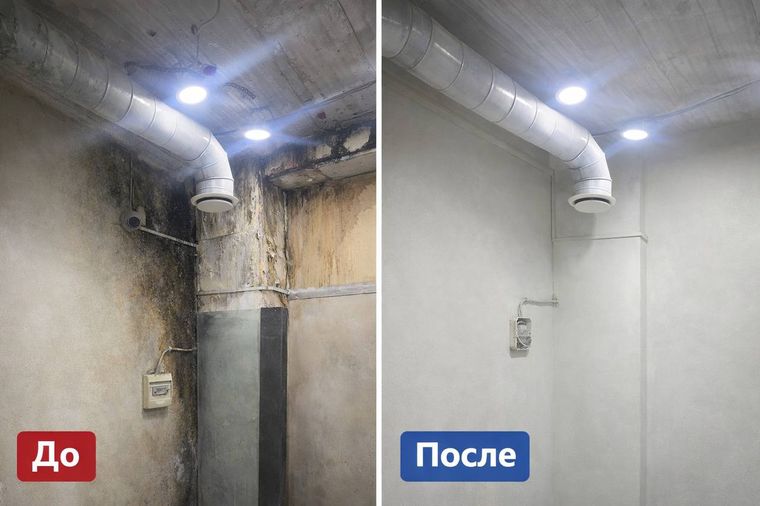 Обработка стен от плесени после протечки — до и после